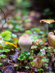 Similar image 21664019