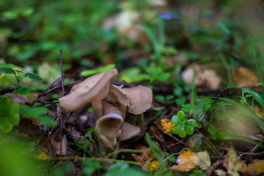 Similar image 21665375