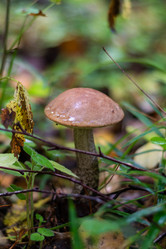 Similar image 21664022