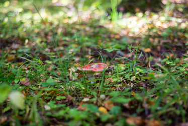 Similar image 21664023