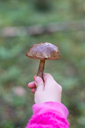 Similar image 21664025