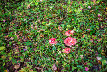 Similar image 21664027