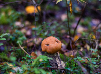 Similar image 21663068