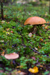 Similar image 21663069