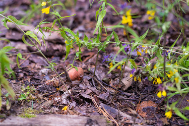 Similar image 21663070