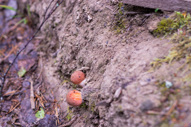 Similar image 21663072