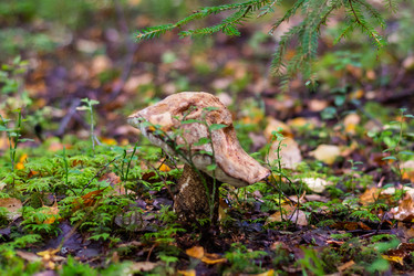 Similar image 21667955