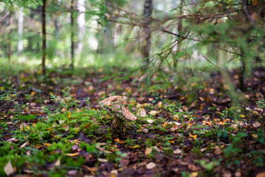 Similar image 21667956