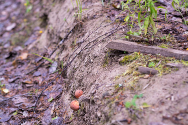 Similar image 21663073