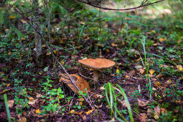 Similar image 21663074