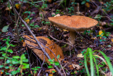 Similar image 21663075