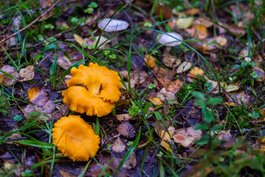 Similar image 21667958