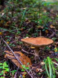 Similar image 21663076