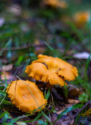 Similar image 21667959