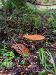 Similar image 21663077