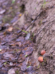 Similar image 21663078