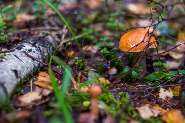 Similar image 21663079