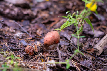 Similar image 21663081