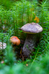 Similar image 21665376