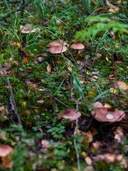 Similar image 21665377