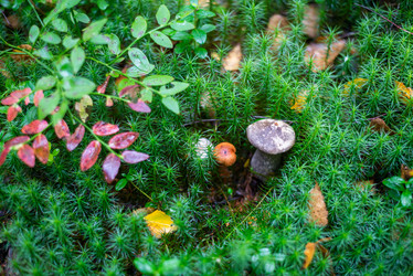 Similar image 21665378