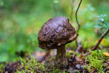 Similar image 21664029