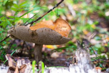 Similar image 21663083