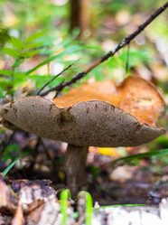 Similar image 21663084