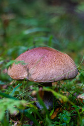 Similar image 21667960