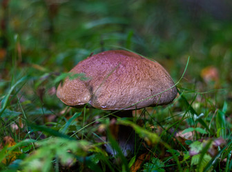 Similar image 21667961