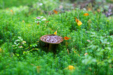 Similar image 21664030