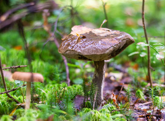 Similar image 21664031