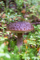 Similar image 21664033