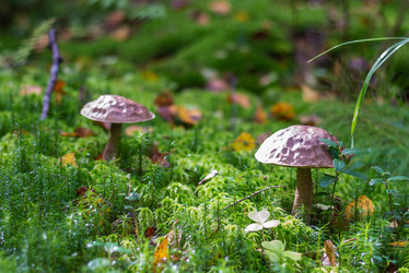 Similar image 21664035