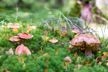 Similar image 21663085