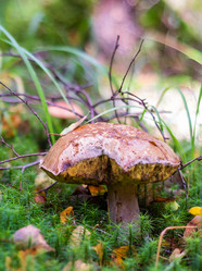 Similar image 21663086