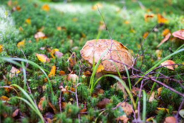 Similar image 21663087