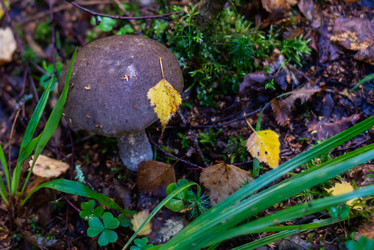 Similar image 21664037