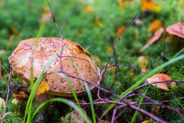 Similar image 21663088