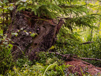 Similar image 21672205