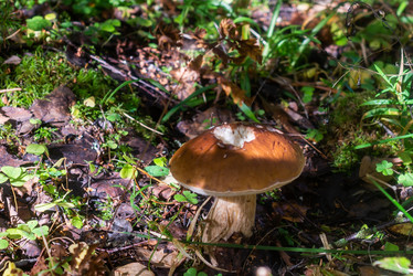 Similar image 21667965