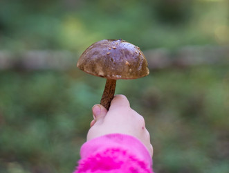 Similar image 21664038