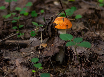 Similar image 21663089