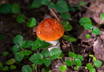 Similar image 21663090