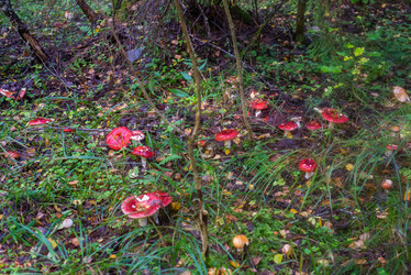 Similar image 21664040