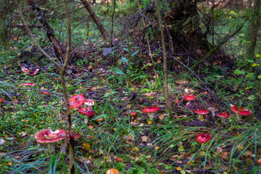 Similar image 21664041