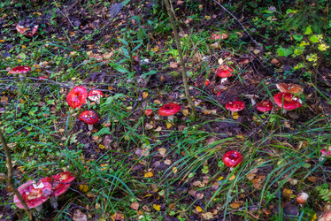 Similar image 21664042