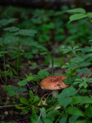 Similar image 21667970