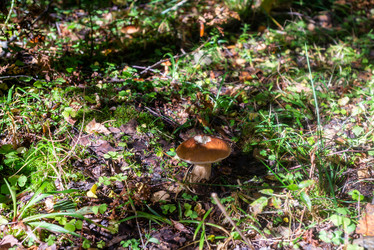 Similar image 21667971