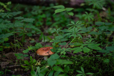 Similar image 21663092